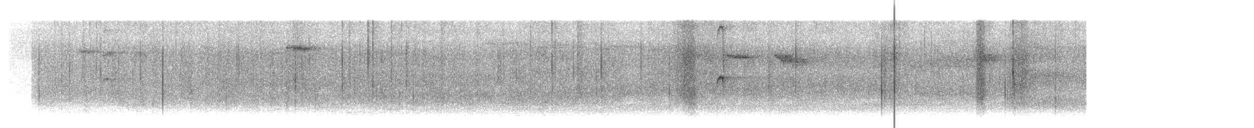 Исполинский колибри - ML614064069