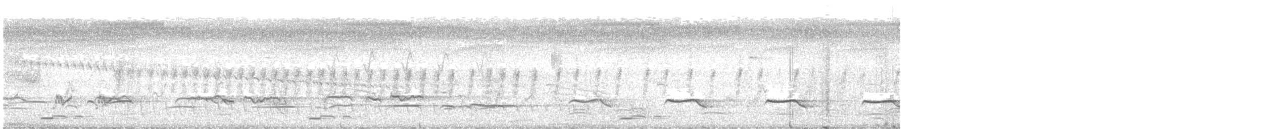 Brush Cuckoo - ML614065192