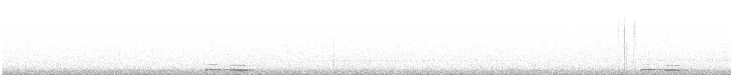 Tasmanya Bubuğu - ML614065363