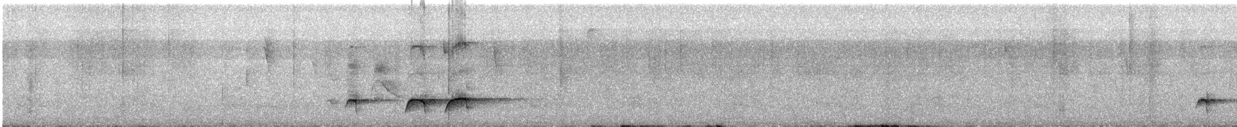 tanımsız Grallaria sp. - ML614068200