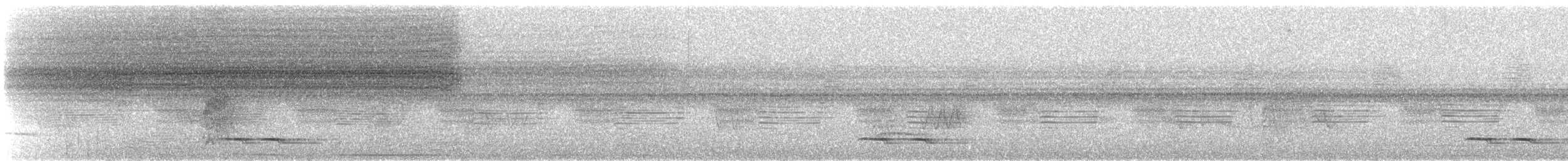 Tinamou superbe - ML614068469