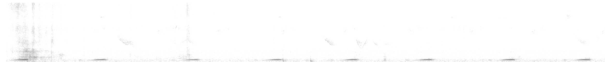 holoubek hnědoprsý - ML614068880