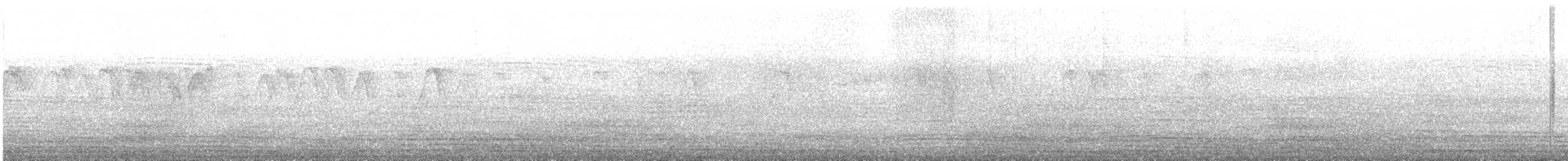 gråhakemønjefugl (solaris gr.) - ML614074213