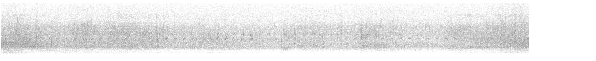 Smergo minore - ML614075140