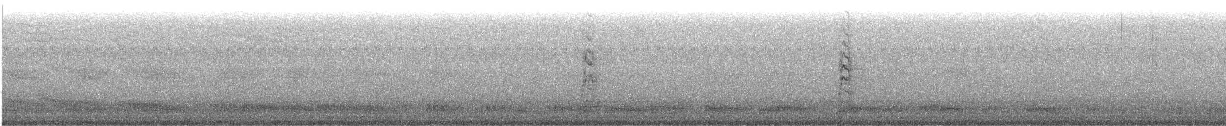 חרטומית חדת-זנב - ML614081339