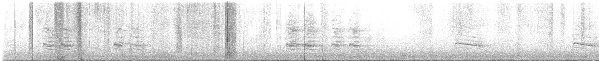 Rundschwanzhabicht - ML614081826