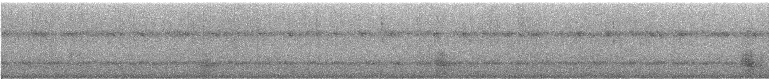 Pacific Black Duck - ML614082180