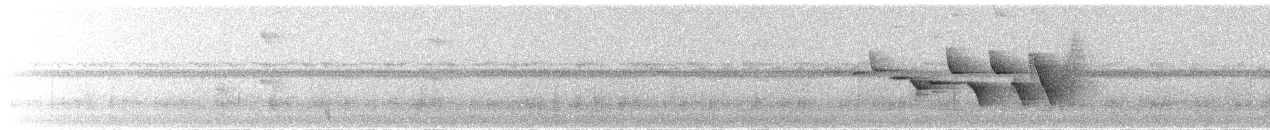 Flavescent Warbler - ML614087340