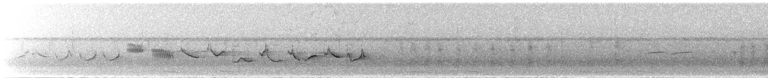 Kestane Karınlı Koca Tohumcul - ML614088269