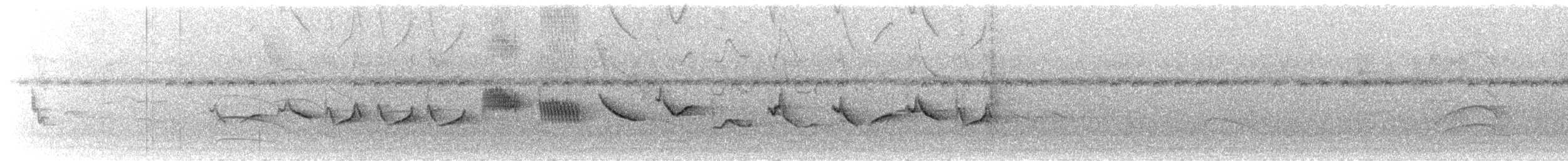 Kestane Karınlı Koca Tohumcul - ML614088271