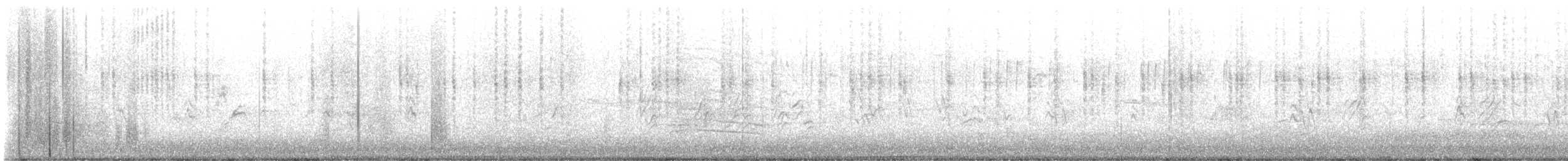 kolibřík širokozobý - ML614089546