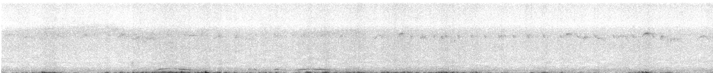 holub neotropický - ML614092203