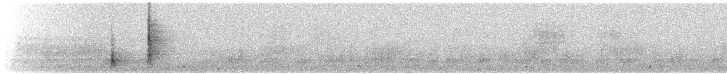 Weißbrauendrossel - ML614092827