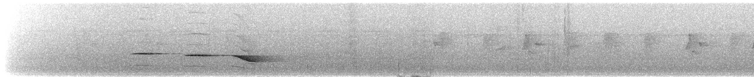 svartvingelarveeter - ML614094152