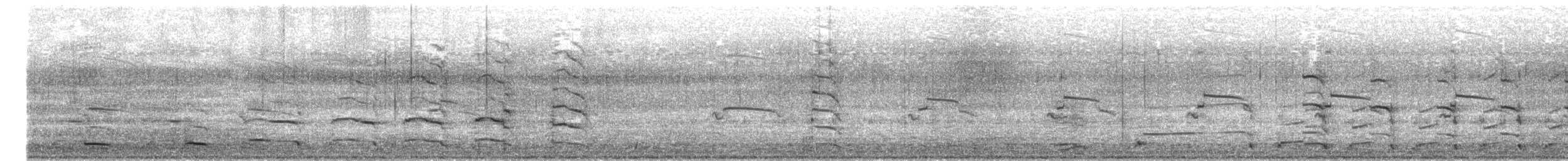 racek polární (ssp. thayeri) - ML614094216