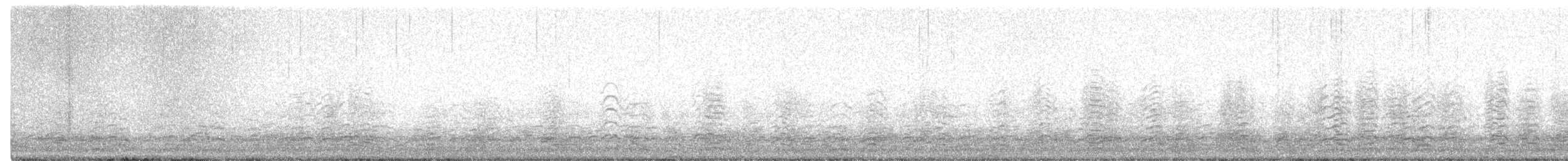 Snow Goose - ML614095420