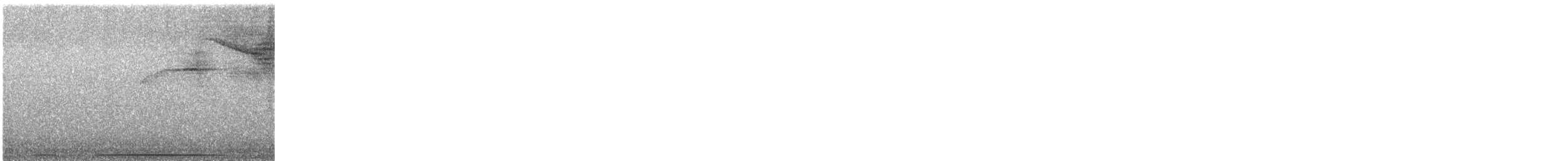 オオテリハウズラバト - ML614097376