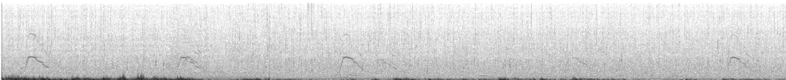 Canard siffleur - ML614099161