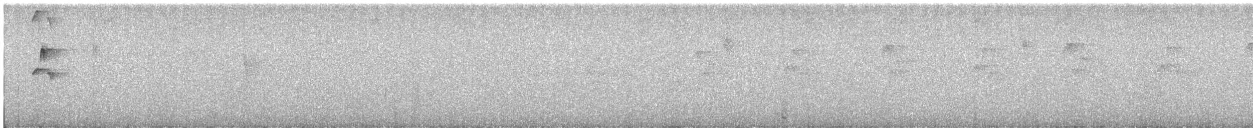 Пестрогрудый тираннчик - ML614100260