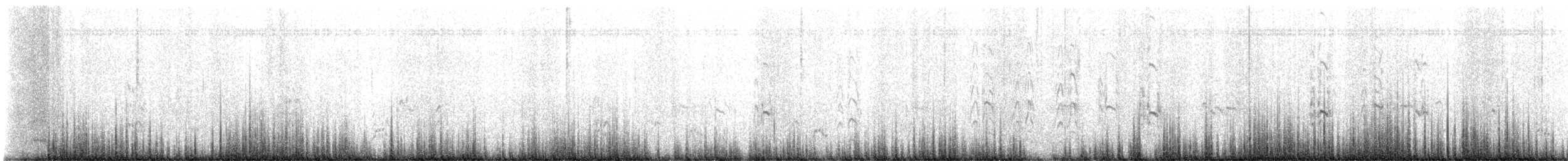 Schwarznacken-Stelzenläufer - ML614105740