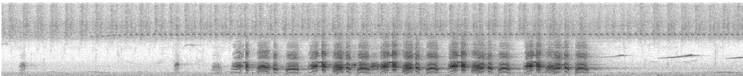 čačalaka kropenatá (ssp. remota) - ML614107122