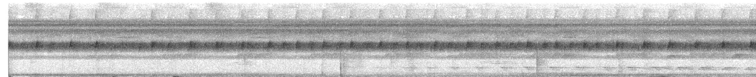 Trogon à queue blanche - ML614111737