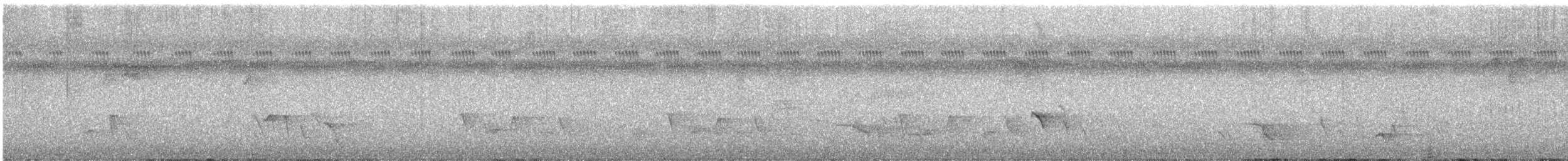 Méliphage foulehaio - ML614111759