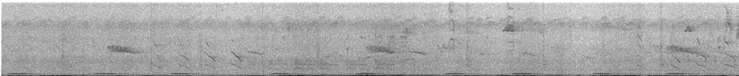 holub pestrokřídlý - ML614118036