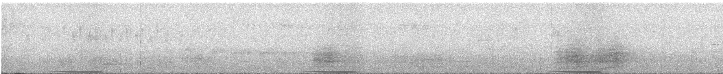 holub bronzovokřídlý - ML614118081