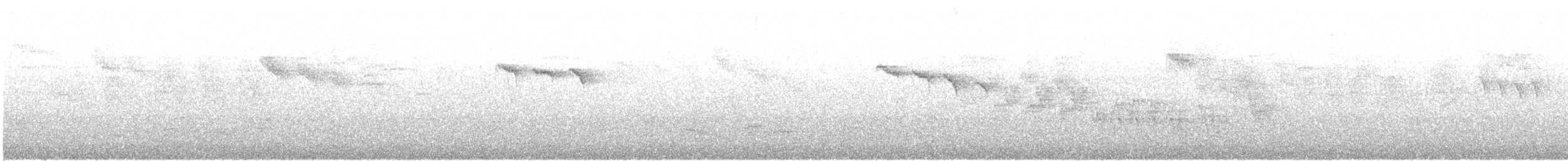 Amilotx urdina - ML614123523