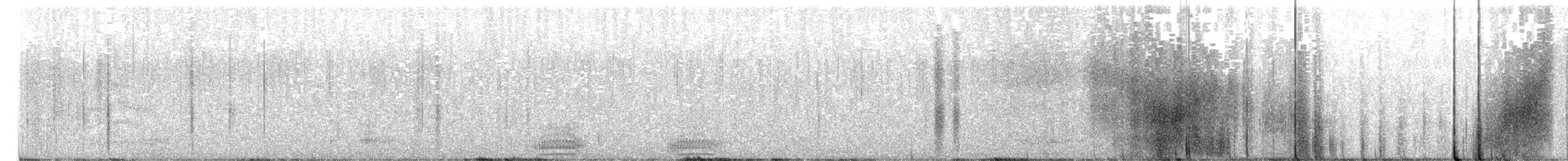 Common Raven - ML614123898
