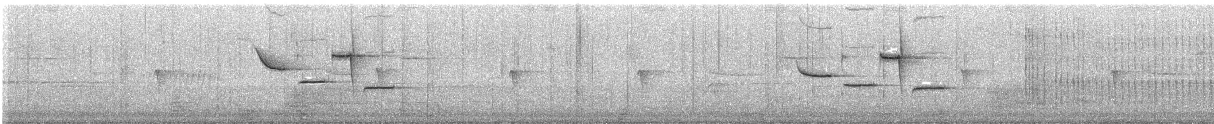 sýkora karolínská - ML614124172