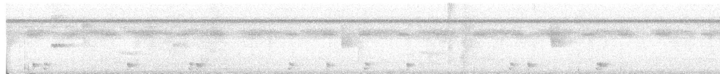 White-shouldered Antshrike - ML614124559