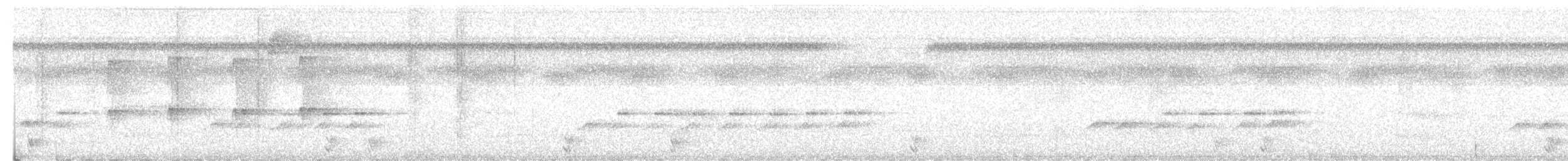 White-shouldered Antshrike - ML614124560