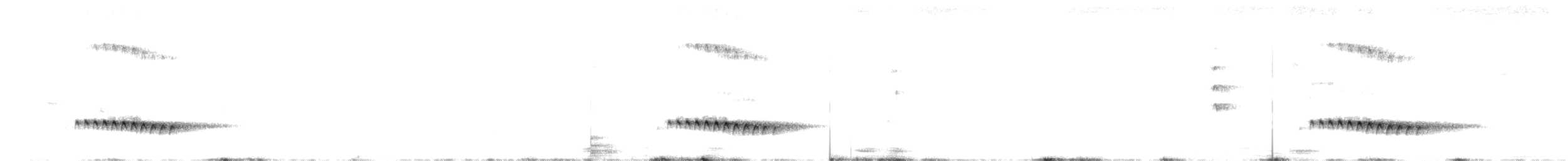 Веерохвостая кукушка - ML614124886