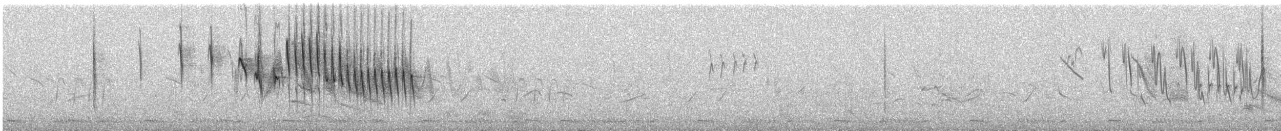 Ziernektarvogel - ML614125352
