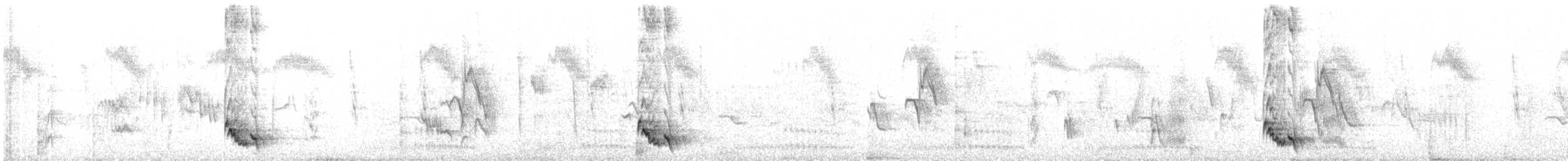 Тирч плямистоволий - ML614126957