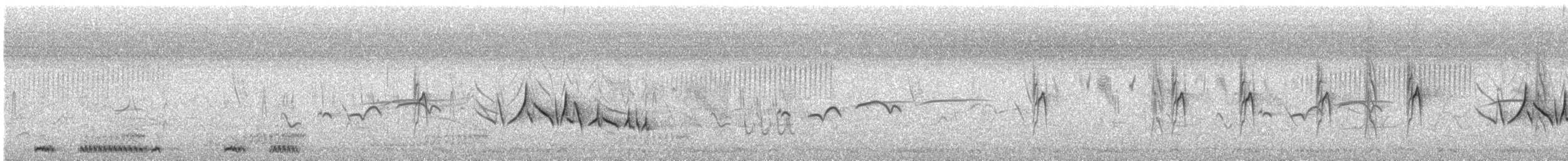 Cisticole cendrée - ML614127828