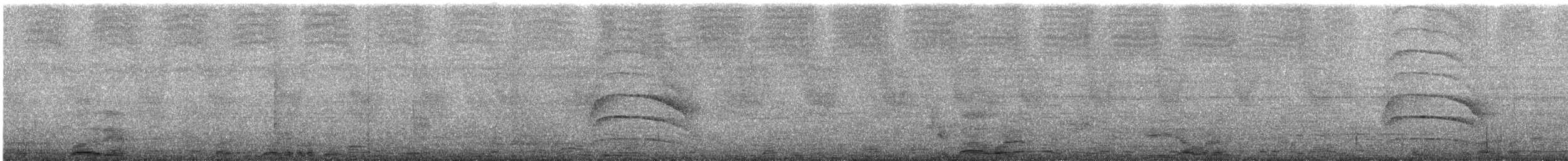 Büyük Kiskadi Tiranı - ML614131656