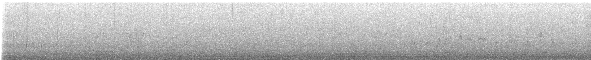 Mirlo Acuático Norteamericano - ML614135101
