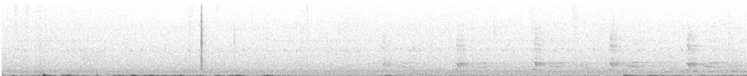 Медівник рогодзьобий (підвид yorki) - ML614138276