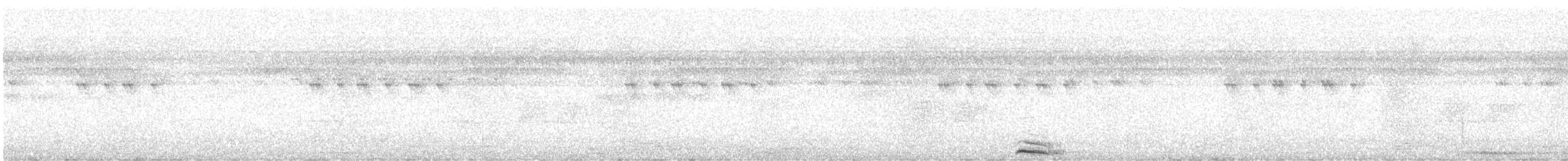 Halsband-Zwergohreule - ML614142817
