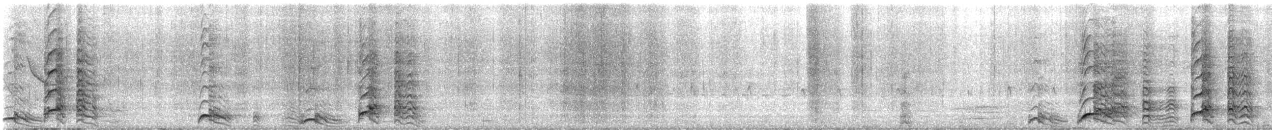 Râle ypécaha - ML614145731