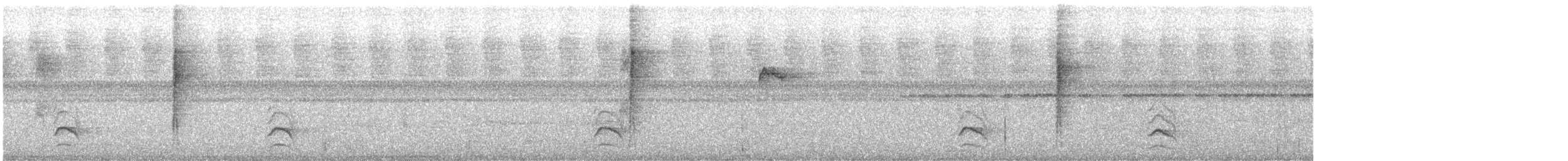 Olivgrau-Ameisenvogel - ML614146819