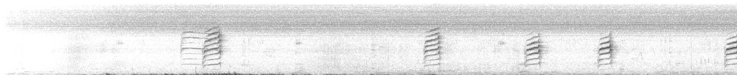 pěnicovec krátkoocasý - ML614149520