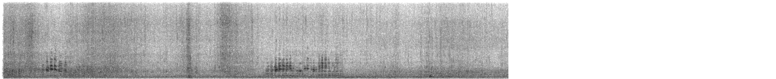 Antipodean Albatross - ML614159506