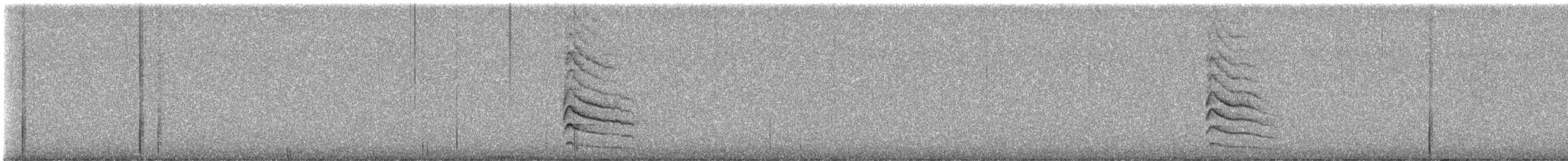 Дятел-смоктун білочеревий - ML614159829