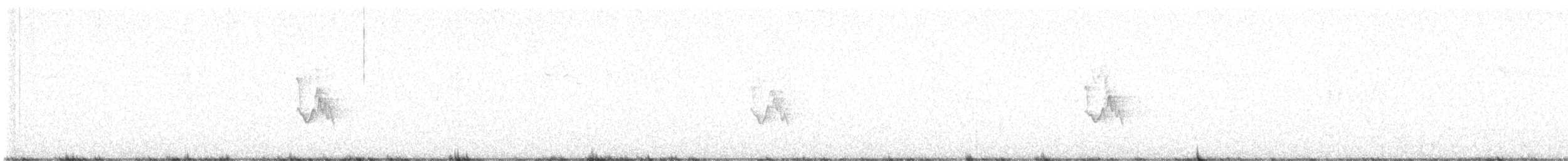 Paruline à ailes blanches - ML614164201