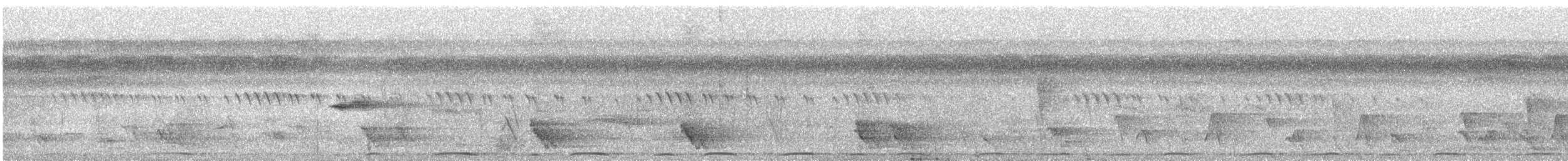 holub tonžský - ML614165264