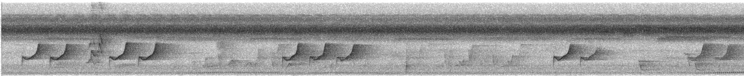 Carpophage pacifique - ML614165298